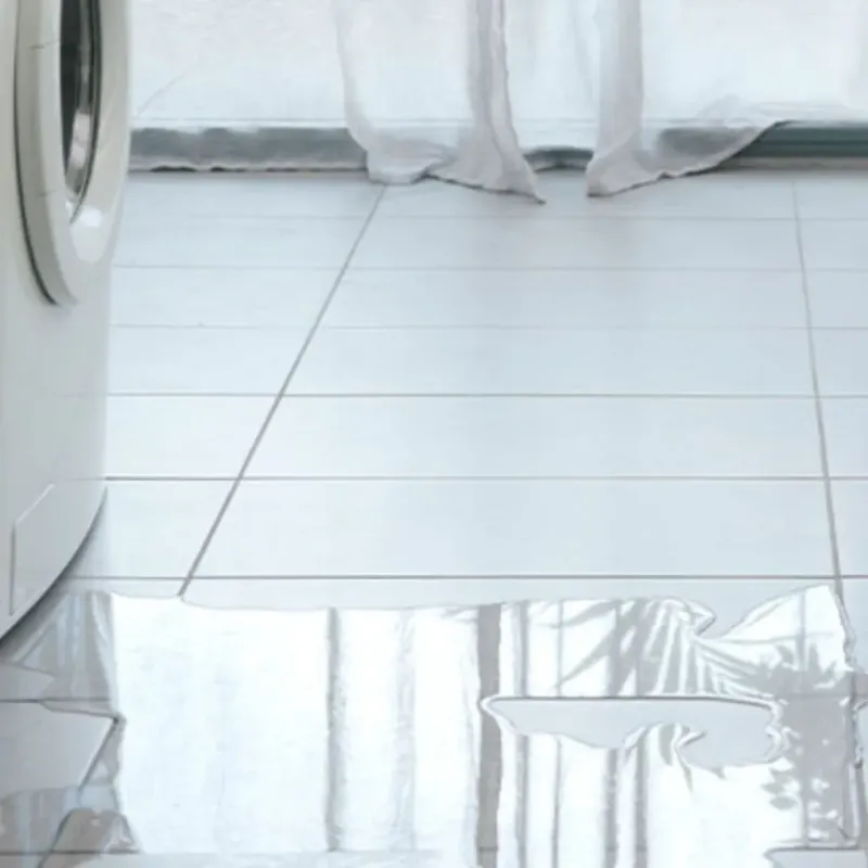 Appliance Leak Cleanup in Essexville, MI