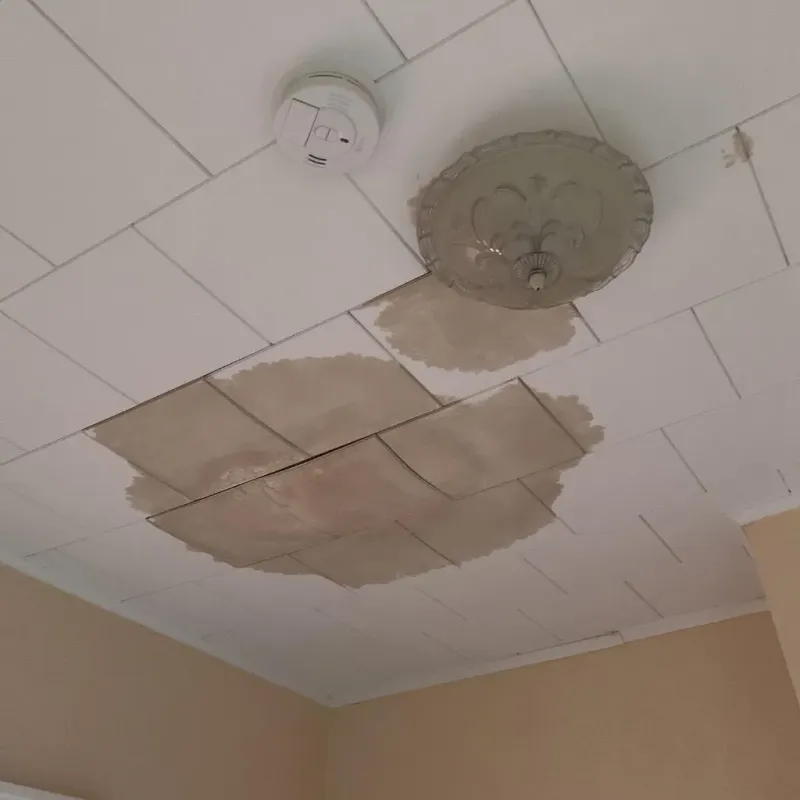 Ceiling Water Damage Repair in Essexville, MI