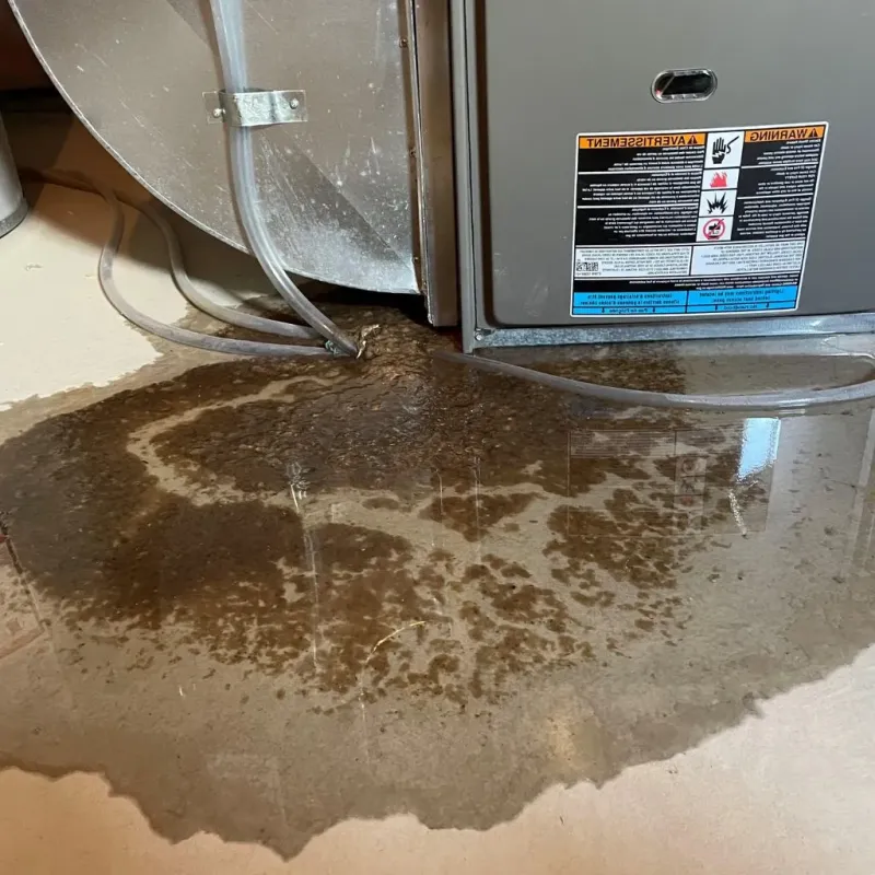 Pipe Burst and Leak Restoration in Essexville, MI
